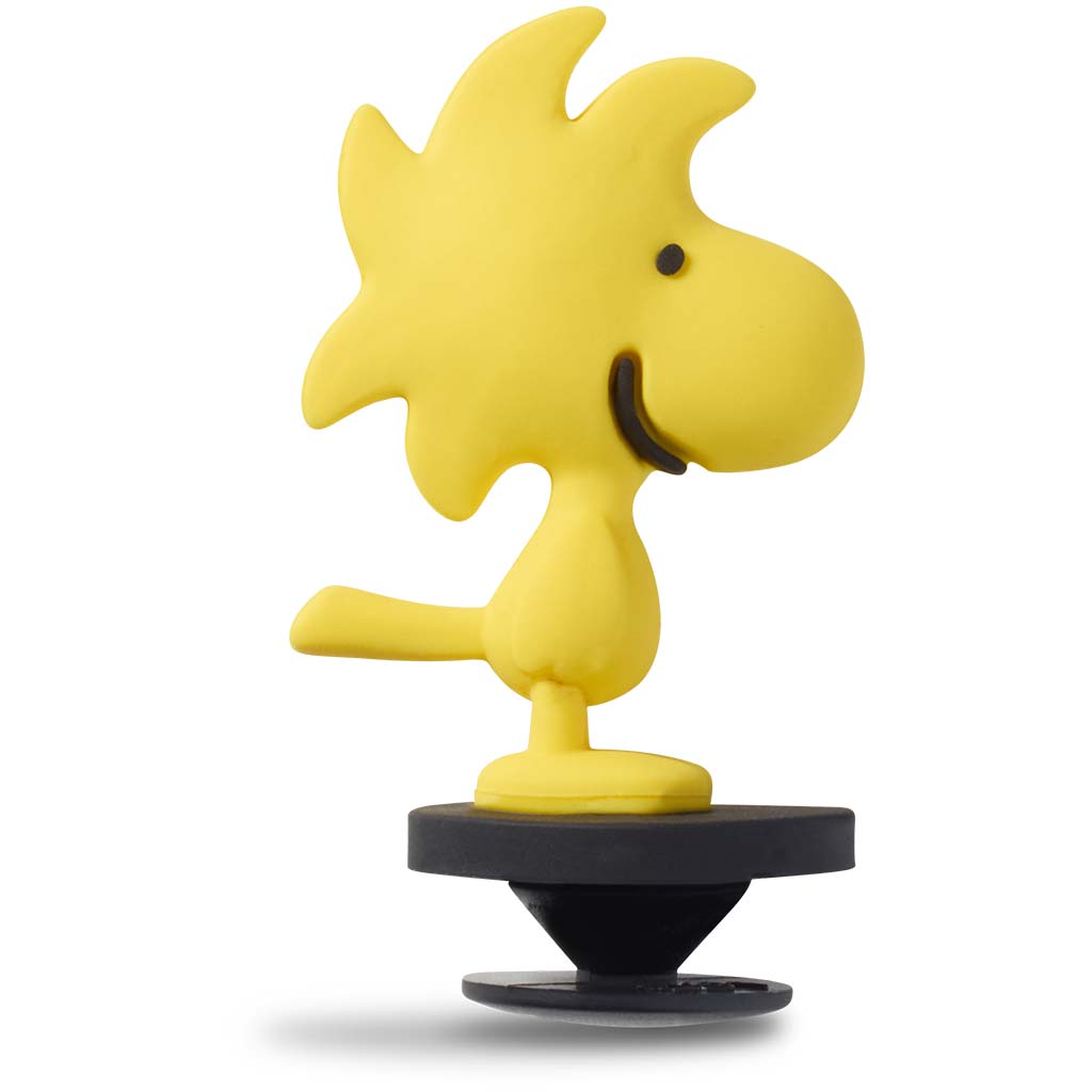 Jibbitz™ 3D Woodstock