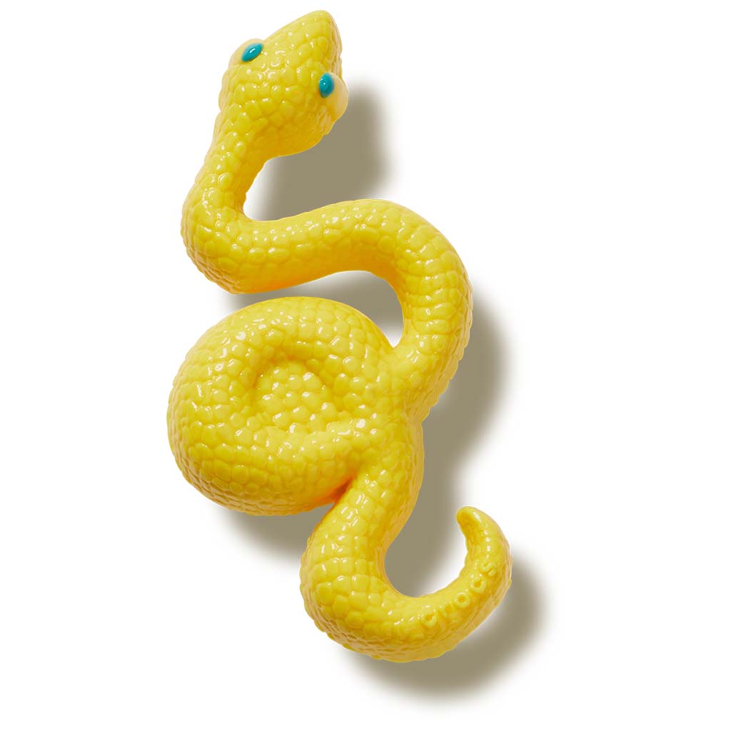 Jibbitz™ Dimensional Snake