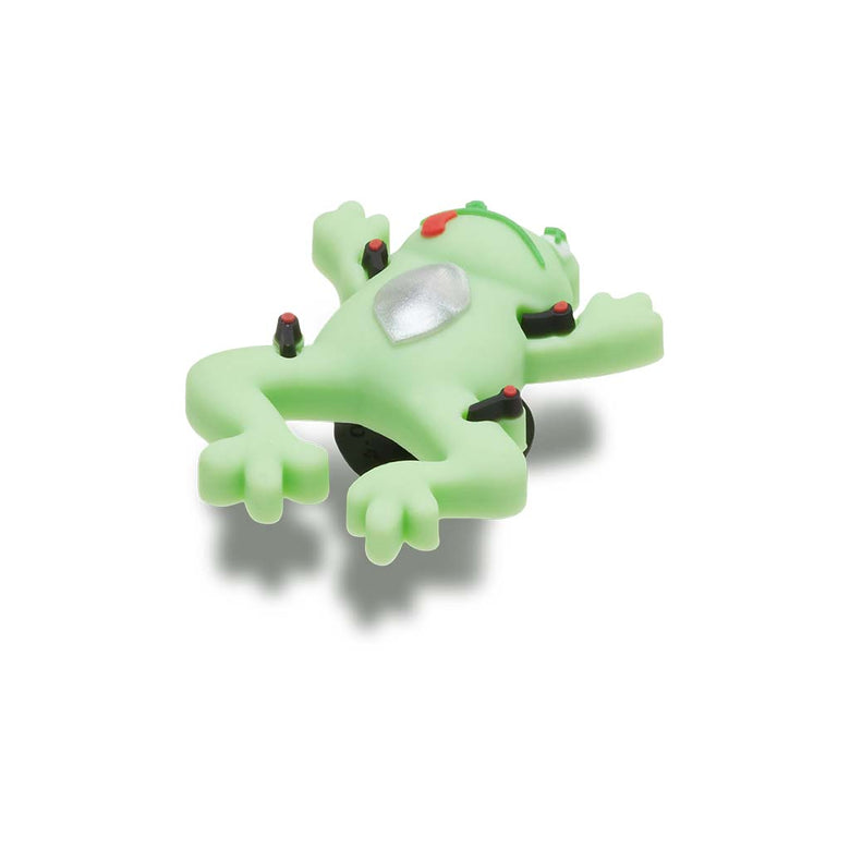 Jibbitz™ Dissecting Frog