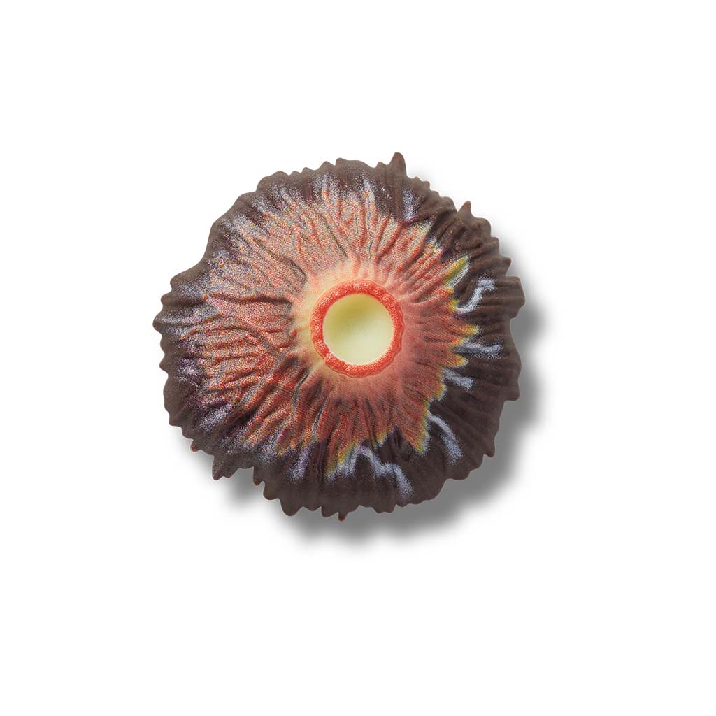 Jibbitz™ Volcano Eruption